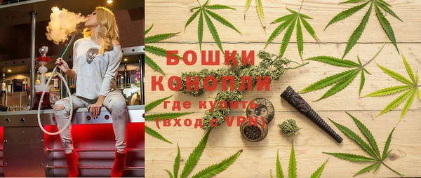 мескалин Богданович