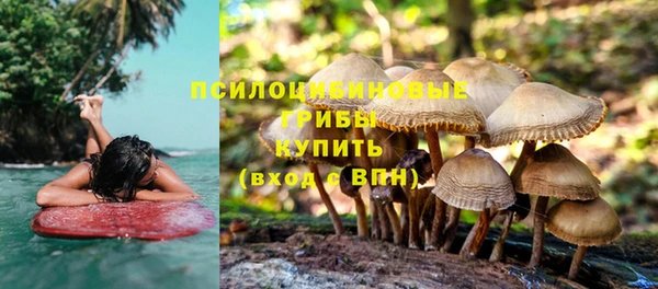 ПСИЛОЦИБИНОВЫЕ ГРИБЫ Богородск