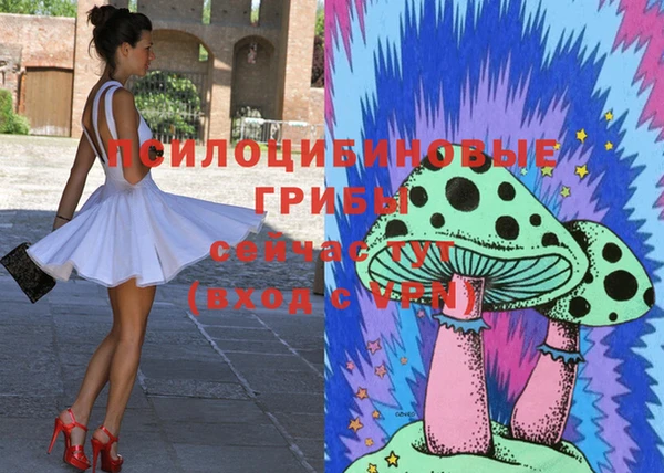 мескалин Богданович