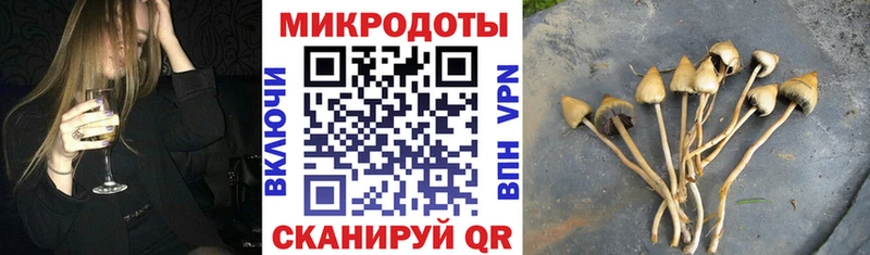 Галлюциногенные грибы Psilocybine cubensis Киренск